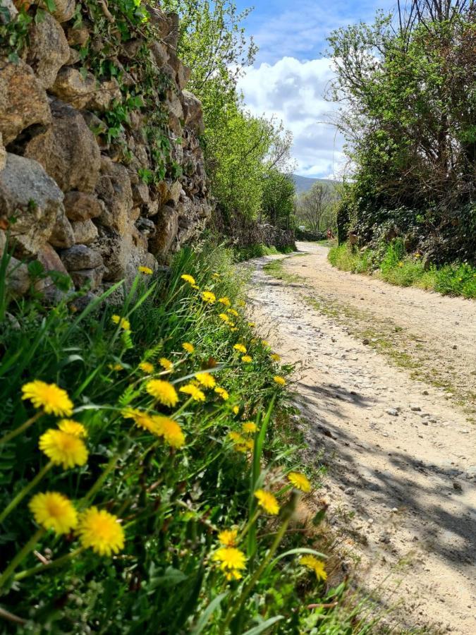 Acogedora Y Romantica Casita En La Sierra Garganta De Los Montes Ngoại thất bức ảnh